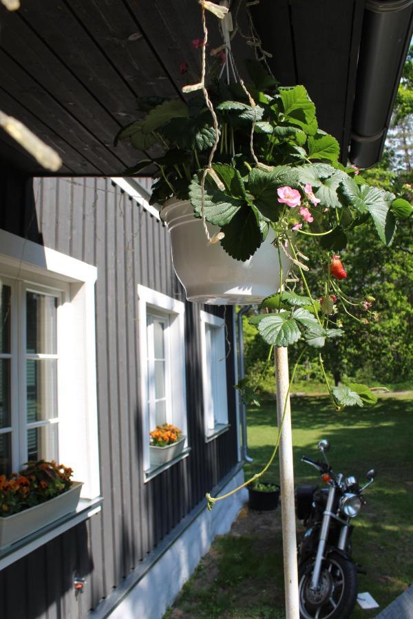 Uki Puhkekuela Hotel Pärnu Exterior foto